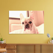 Franse bulldog Puppy Canvas Afdruk (Insitu (Woonkamer))