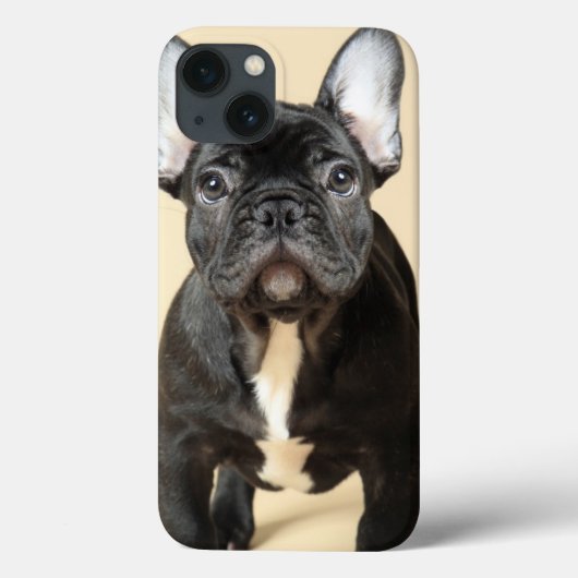 Franse bulldog Puppy Case-Mate iPhone Case (Achterkant)