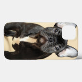Franse bulldog Puppy Case-Mate iPhone Case (Achterkant (horizontaal))
