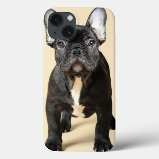 Franse bulldog Puppy Case-Mate iPhone Case (Achterkant)
