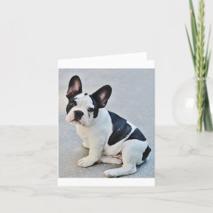 Franse Bulldog Puppy Dog Blank Note Card Kaart