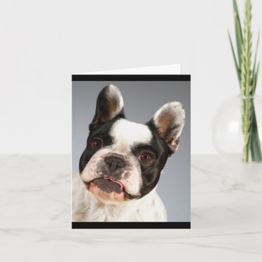 Franse Bulldog Puppy Dog Blank Note Card Kaart (Voorkant)