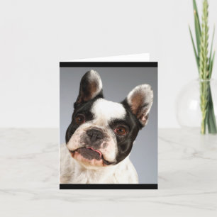 Franse Bulldog Puppy Dog Blank Note Card Kaart