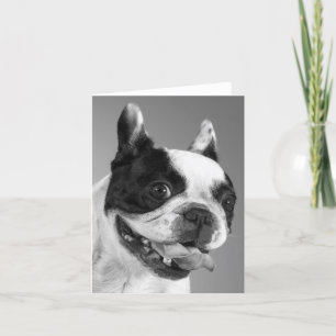 Franse Bulldog Puppy Dog Blank Note Kaart