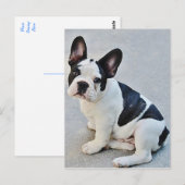 Franse Bulldog Puppy Dog Post Card Briefkaart (Voorkant / Achterkant)