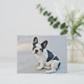 Franse Bulldog Puppy Dog Post Card Briefkaart (Staand voorkant)