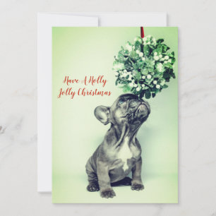 Franse Bulldog Puppy En Misteletoe Kerstkaart