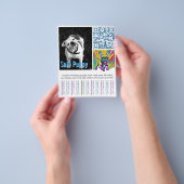 Franse Bulldog Puppy Flyer (Hand)