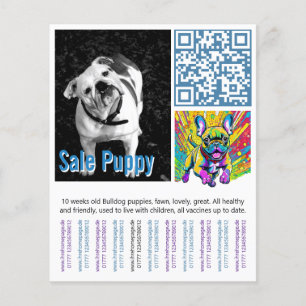 Franse Bulldog Puppy Flyer