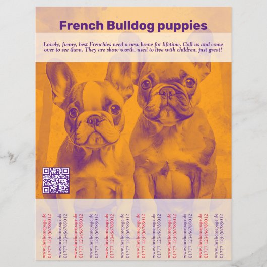 Franse Bulldog Puppy Flyer (Voorkant)
