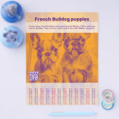 Franse Bulldog Puppy Flyer (Enkel)