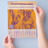 Franse Bulldog Puppy Flyer (Hand)