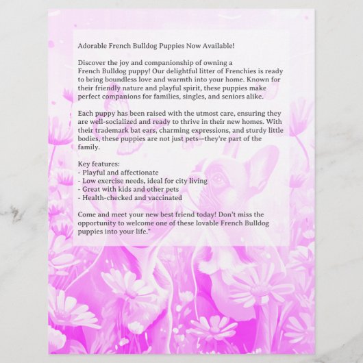 Franse Bulldog Puppy Flyer  (Achterkant)