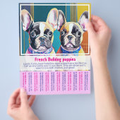 Franse Bulldog Puppy Flyer  (Hand)