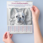 Franse Bulldog Puppy Flyer (Hand)