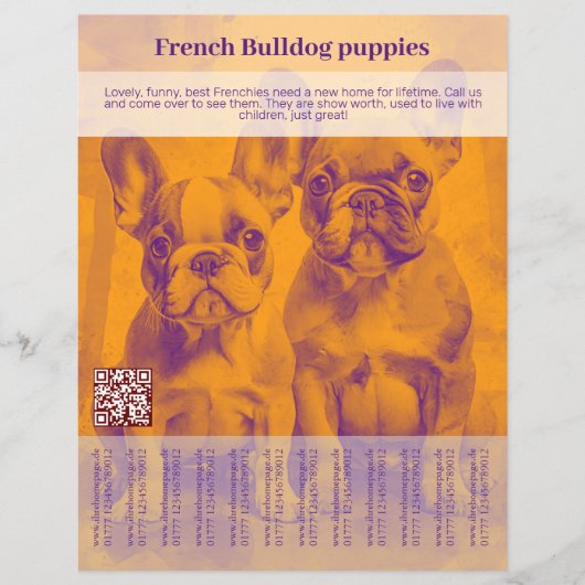 Franse Bulldog Puppy Flyer (Voorkant)