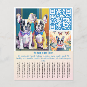 Franse bulldog Puppy Flyer