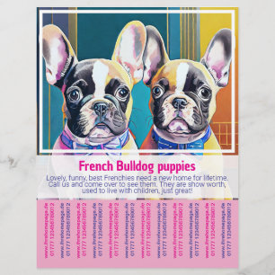 Franse Bulldog Puppy Flyer