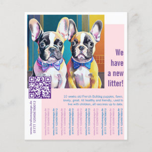 Franse bulldog Puppy Flyer