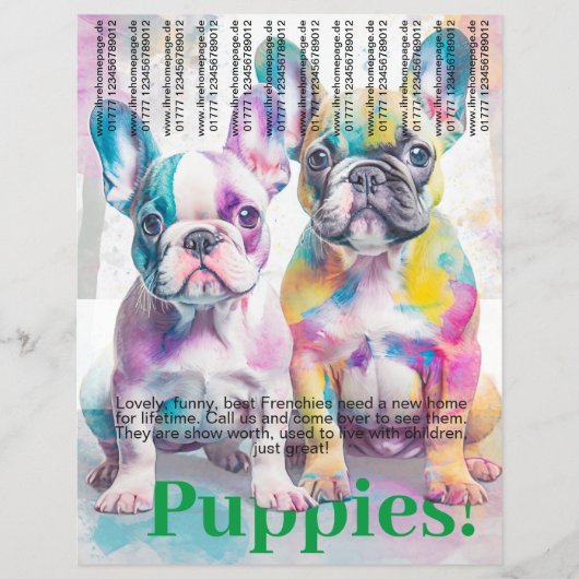 Franse Bulldog Puppy Flyer (Voorkant)