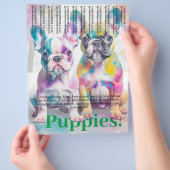 Franse Bulldog Puppy Flyer (Hand)
