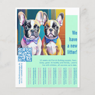 Franse bulldog Puppy Flyer