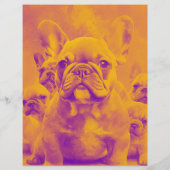 Franse Bulldog Puppy Flyer (Achterkant)