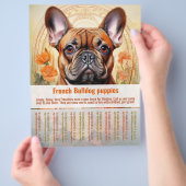 Franse Bulldog Puppy Flyer (Hand)