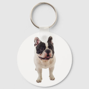 Franse Bulldog Puppy Hond Moeder Redding Adoptie L Sleutelhanger