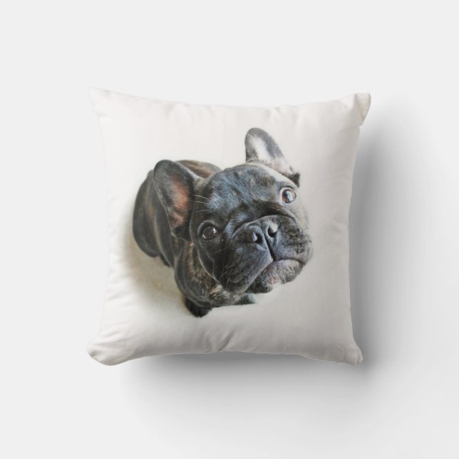 Franse bulldog Puppy Kussen (Voorkant)