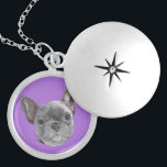 Franse bulldog Puppy Locket Ketting<br><div class="desc">Frans Bulldog Puppy Locket Ketting met handgetekend ontwerp door ArtistsQuest.</div>