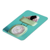 Franse bulldog Puppy Magneet (Linkerzijde)