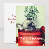 Franse Bulldog puppy met maretak in geschenkdoos Feestdagenkaart (Voorkant / Achterkant)