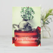 Franse Bulldog puppy met maretak in geschenkdoos Feestdagenkaart (Staand voorkant)