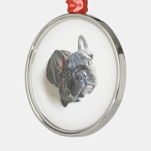 Franse bulldog Puppy Metalen Ornament (Links)