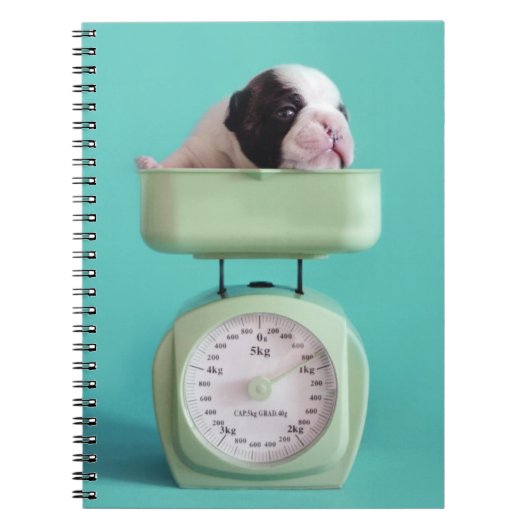 Franse bulldog Puppy Notitieboek (Voorkant)