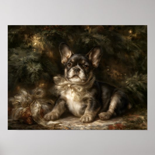 Franse Bulldog Puppy Poster (Voorkant)