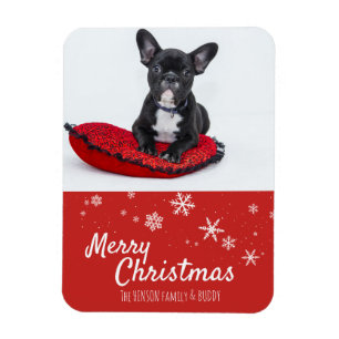 Franse Bulldog Puppy Rode foto Kerstmis Custom Magneet