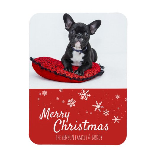 Franse Bulldog Puppy Rode foto Kerstmis Custom Magneet (Verticaal)