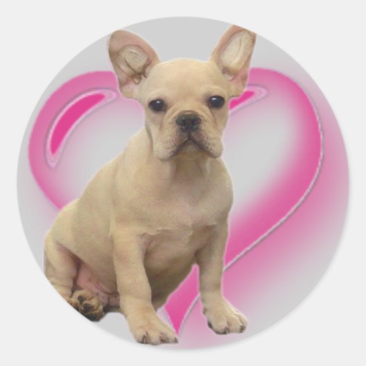 Franse bulldog puppy stickers (Voorkant)