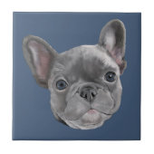 Franse bulldog Puppy Tegeltje (Voorkant)