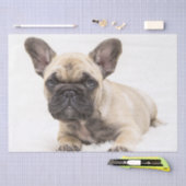 Franse bulldog Puppy Tissuepapier (Craft)