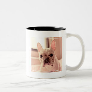 Franse bulldog Puppy Tweekleurige Koffiemok