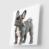 Franse bulldog Puppy Vierkante Klok (Hoek)
