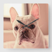 Franse bulldog Puppy Vierkante Klok (Voorkant)