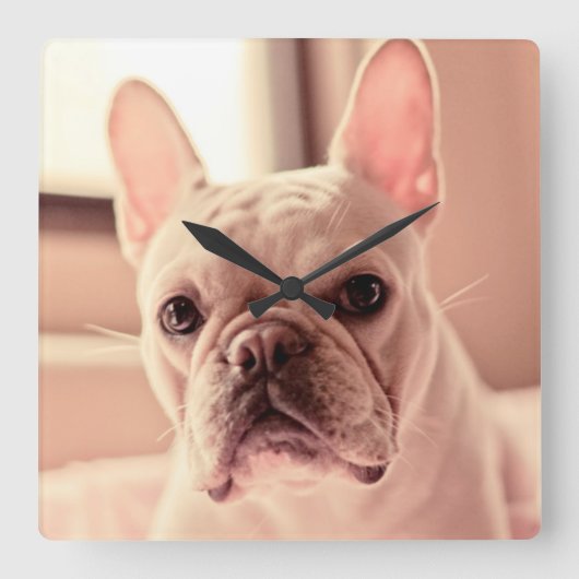 Franse bulldog Puppy Vierkante Klok (Voorkant)