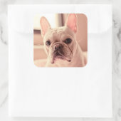 Franse bulldog Puppy Vierkante Sticker (Tas)