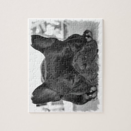 Franse Bulldog Puzzle Legpuzzel (Verticaal)