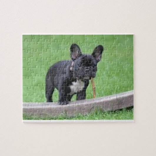 Franse Bulldog Puzzle Legpuzzel (Horizontaal)