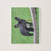 Franse Bulldog Puzzle Legpuzzel (Verticaal)